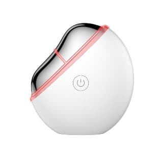 EMS Facial Beauty Lifting Device
