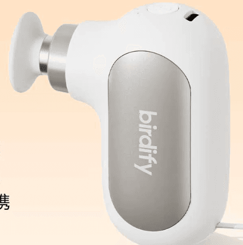 Birdify Mini Fascia Massage Gun