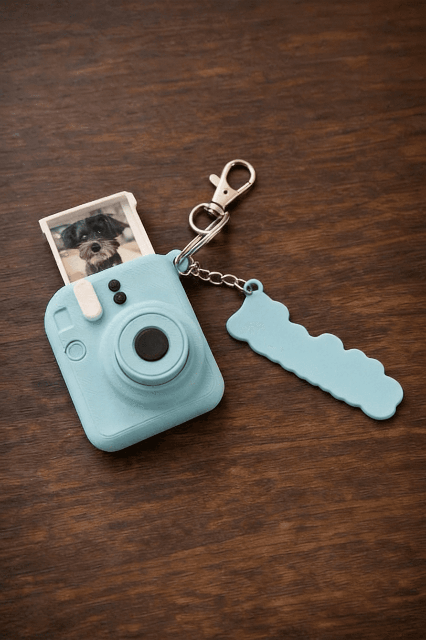 Camera Shaped Photo Keychain